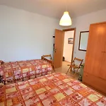 Apartament Verd 4 Pax Lloret de Mar