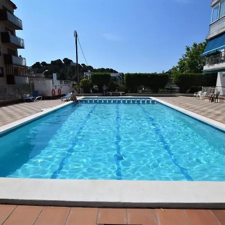 Verd 4 Pax * يوريت دي مار