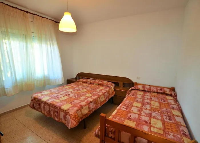 Verd 4 Pax يوريت دي مار