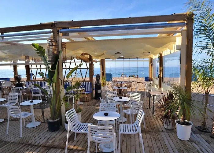 Verd 4 Pax يوريت دي مار