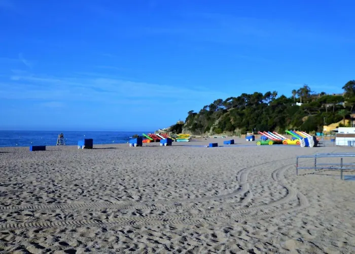 Verd 4 Pax يوريت دي مار